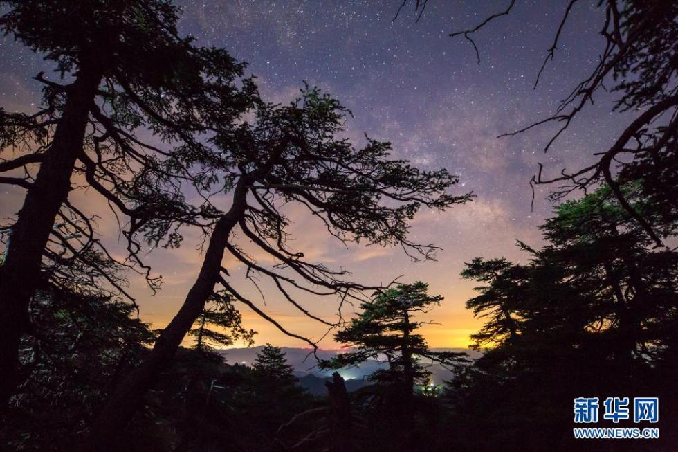 这个夏天，在马仑草原仰望星空