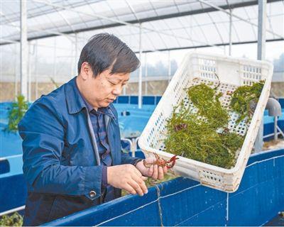 “带着大伙儿一起富”