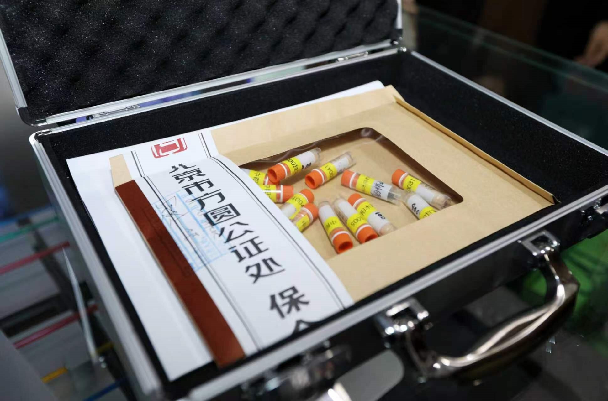 北航科研团队助力中阳黑木耳菌种完成太空育种实验.jpg